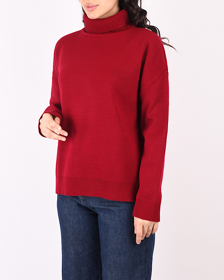 پلیور یقه اسکی L00548